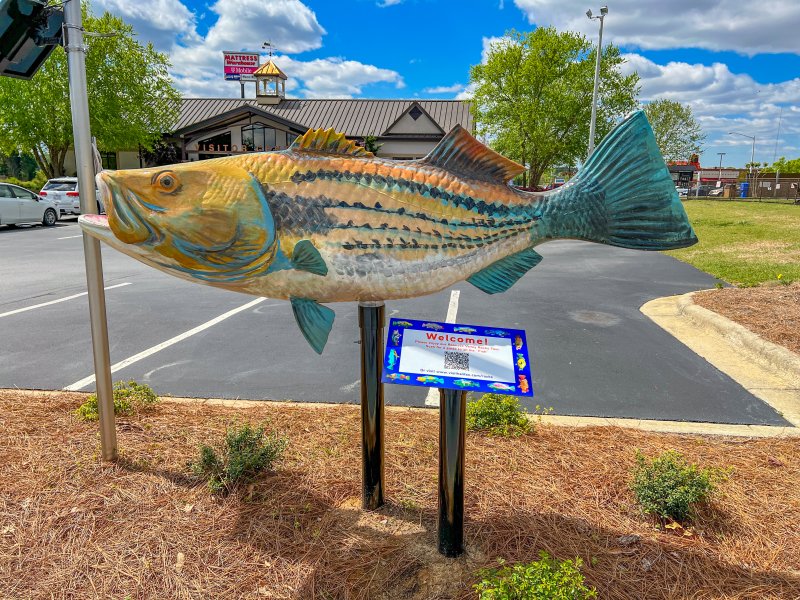 Halifax County Visitors Center’s Rockfish